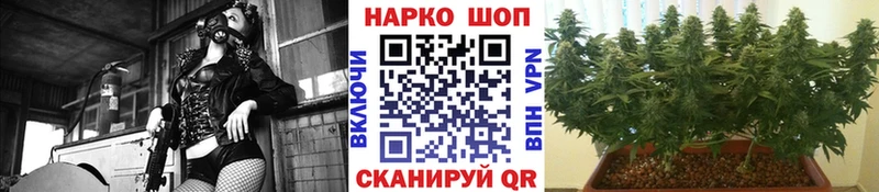 Названия наркотиков Красный Холм Гашиш  Alpha-PVP  Меф  Каннабис 