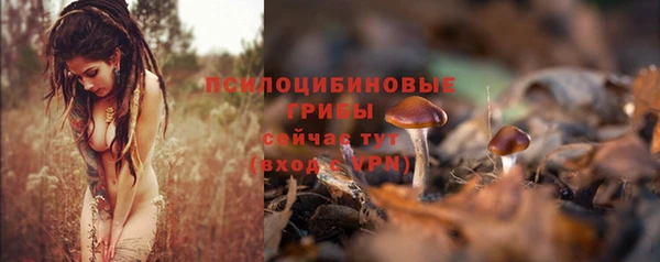 каннабис Осташков