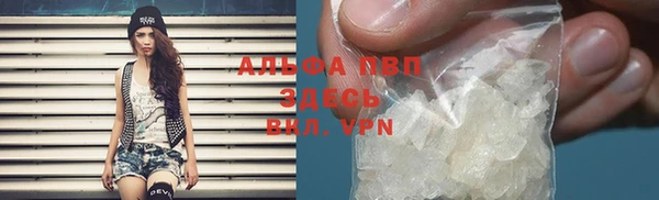 ПСИЛОЦИБИНОВЫЕ ГРИБЫ Осинники