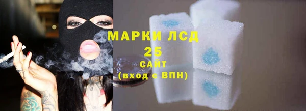 ПСИЛОЦИБИНОВЫЕ ГРИБЫ Осинники