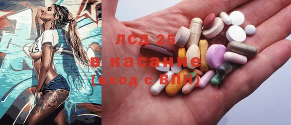 ПСИЛОЦИБИНОВЫЕ ГРИБЫ Осинники