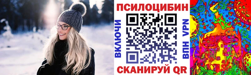 KRAKEN   Красный Холм  Псилоцибиновые грибы прущие грибы 